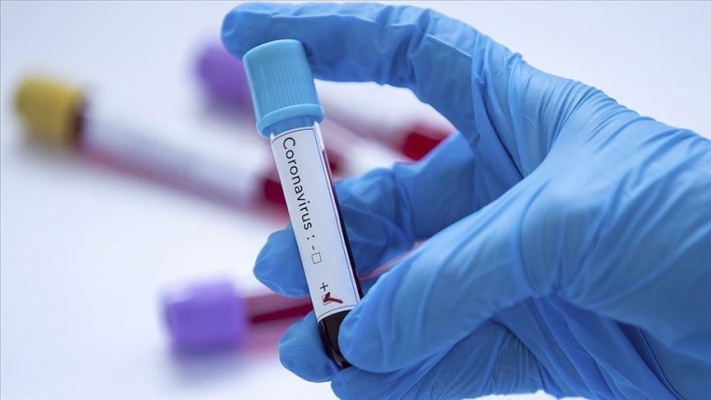 Güney Afrika'da ilk yeni tip koronavirüs vakası tespit edildi