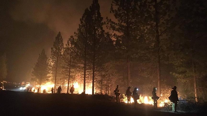 California'daki yangında hayatını kaybedenlerin sayısı 79'a yükseldi