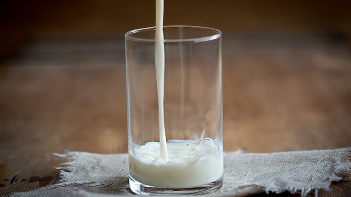 Keçi sütü içerisinde Kovid-19'a karşı etkili protein keşfedildi