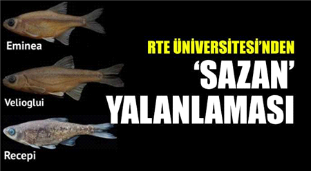 RTE Üniversitesi'nden 'Sazan' Yalanlaması