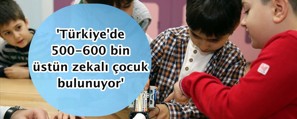 'Türkiye'de 500-600 bin üstün zekalı çocuk bulunuyor'
