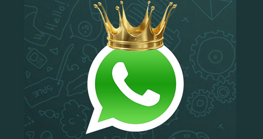 Whatsapp'ı Ayda 800 Milyon Kişi Kullanıyor