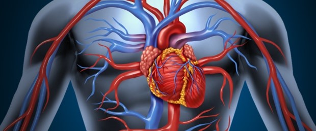 “Kalp Hastalıkları Genetik Değil”