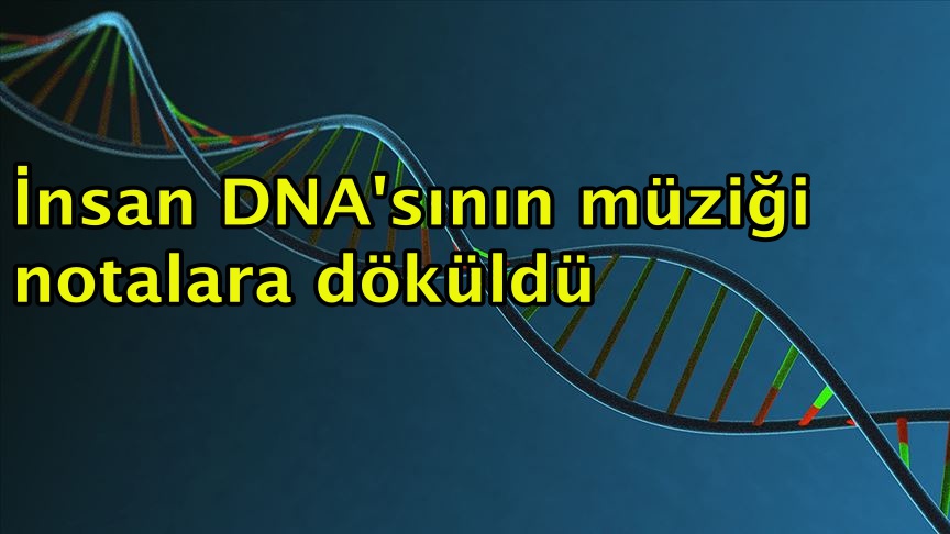İnsan DNA'sının müziği notalara döküldü