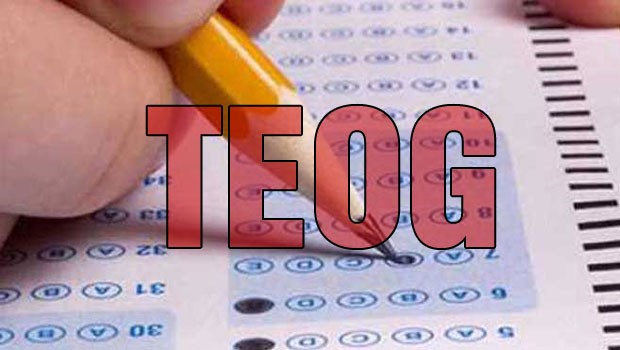 TEOG sınavı için son 8 gün!