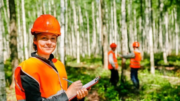 Orman Endüstrisi Mühendisliği  2019 Taban Puanları ve Başarı Sıralamaları