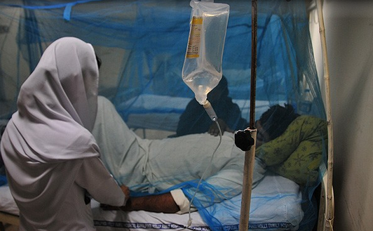 Sıtma Yılda 580 Bin Can Alıyor