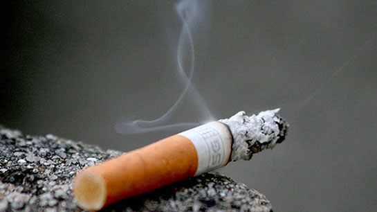 'Sigara, çevre kirliliğinin en büyük nedeni'