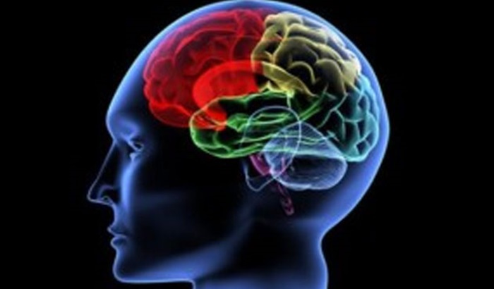 'Covid-19 geçirenlerin beyninde küçülme tespit edildi'