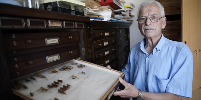 Emekli profesör 25 bin böceklik koleksiyon oluşturdu