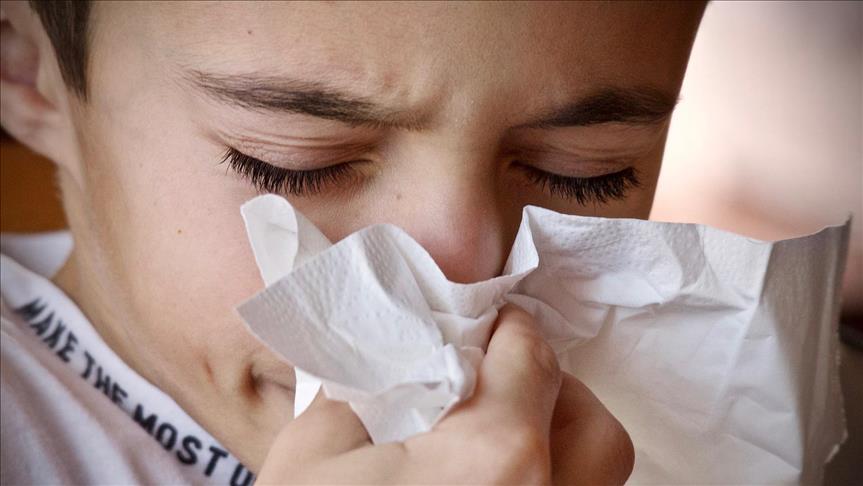 Domuz gribi değil mevsimsel grip'