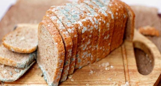 Küflü ekmek tüketirsek ne olur?