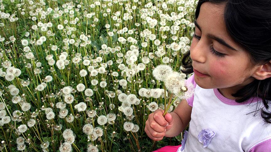 Her 10 çocuktan birinde 'polen alerjisi' görülüyor