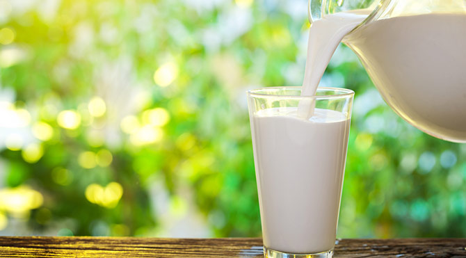 Uzun ve sağlıklı yaşam için daha çok süt şart!