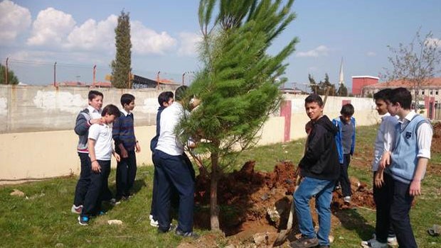 Tablet alan öğrenciler okulun bahçesine ağaç dikti