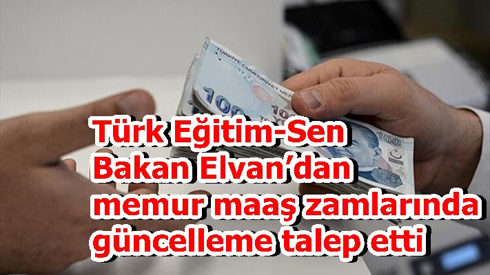 Türk Eğitim-Sen Bakan Elvan’dan memur maaş zamlarında güncelleme talep etti