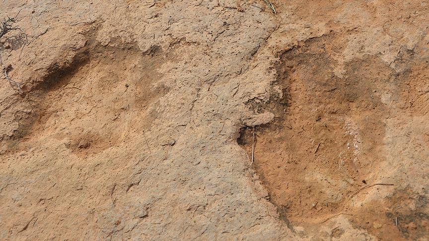 Tunus'ta dinozorların ayak izleri bulundu