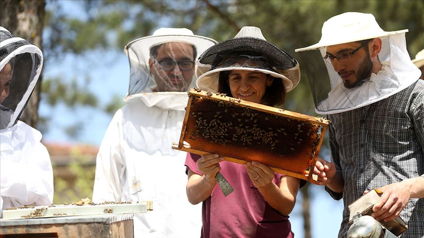 Ramazanda 'arı ürünleriyle dinç kalın' önerisi