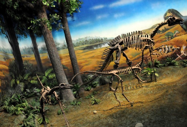 Dünyanın en büyük dinozoru Arjantin’de bulundu