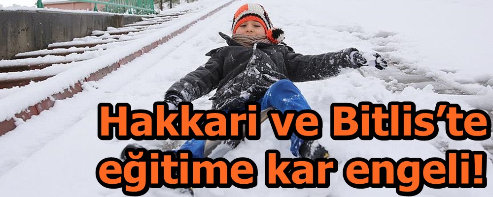 Hakkari ve Bitlis’te eğitime kar engeli!