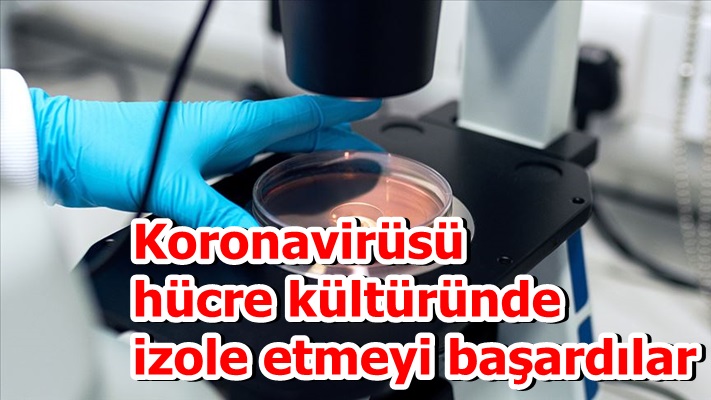 Erciyes Üniversitesinde araştırmacılar, koronavirüsü hücre kültüründe izole etmeyi başardı