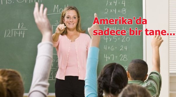 Hangi ülkede kaç Türk öğretmen var?