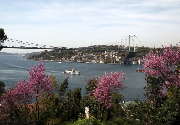 İstanbul'da Erguvan Zamanı