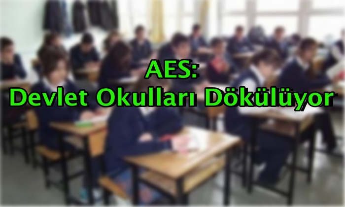 AES: Devlet Okulları Dökülüyor