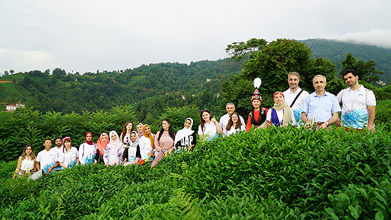 Dört kıtadan 700 öğrenci çay topladı, horon tepti