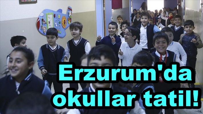 Erzurum'un kurtuluş yıldönümü nedeniyle ildeki okullar tatil