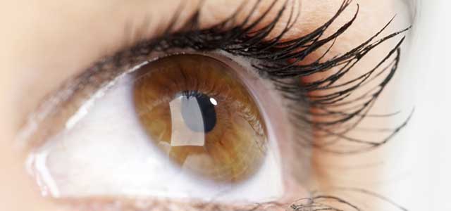 Gözler, DNA diziliminin aynasıdır