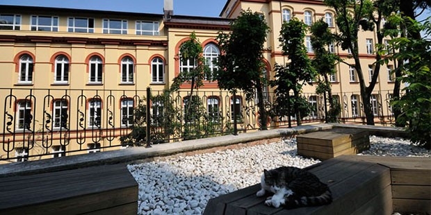 Türkiye'deki Alman okulları kapalı