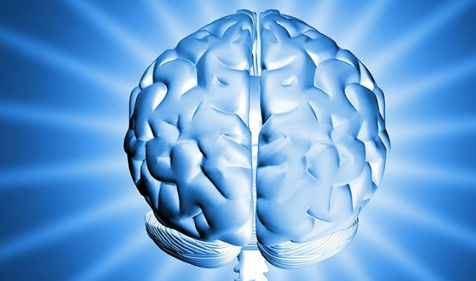 Zeki insanlar daha etkin beyin bağlantılarına sahip