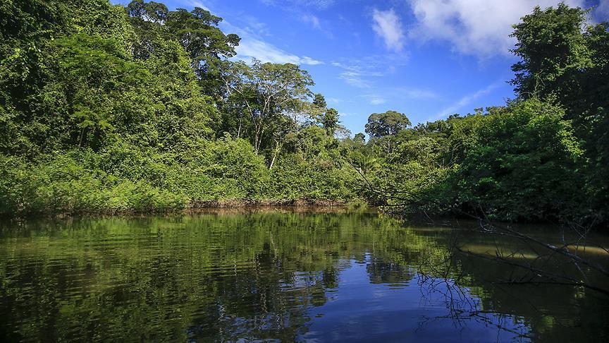 Amazon ormanları yağışını kendisi başlatıyor