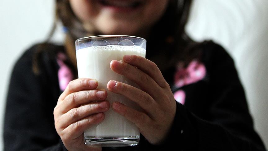 Kırklareli'nin sütü 16 ülkede içiliyor